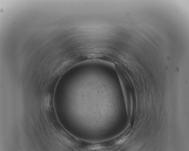 X0000073710219200608101847