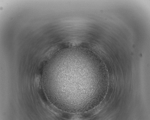 X0000073710222200608101847