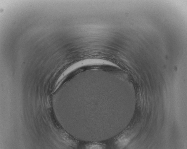 X0000073710224200608101847