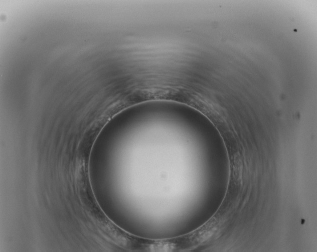 X0000073710225200608101847