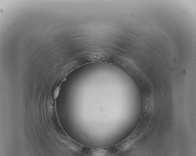 X0000073710226200608101847