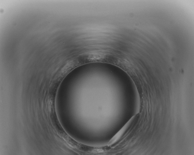 X0000073710227200608101847