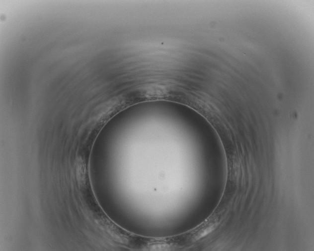 X0000073710228200608101847