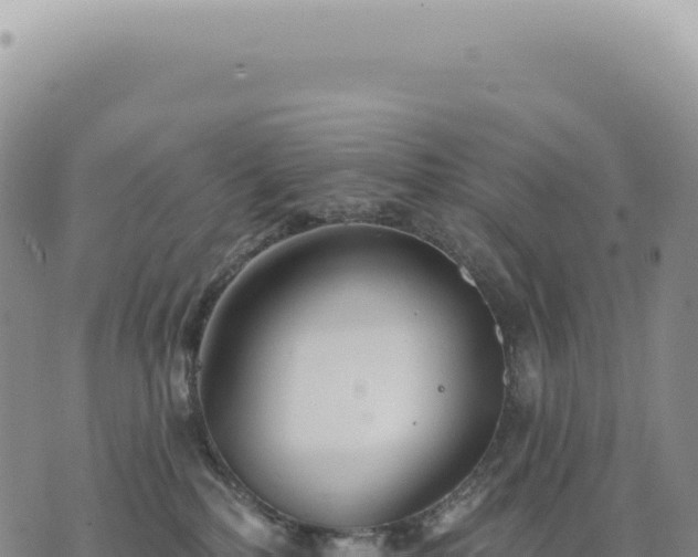 X0000073710232200608101847