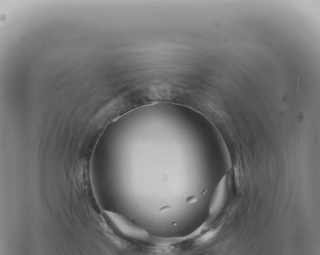 X0000073710233200608101847