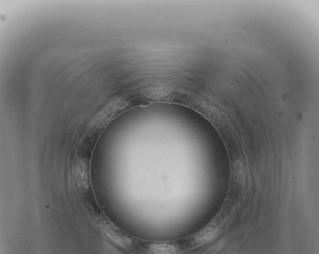 X0000073710234200608101847