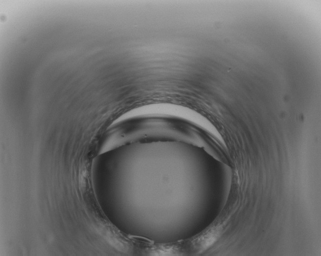 X0000073710235200608101847