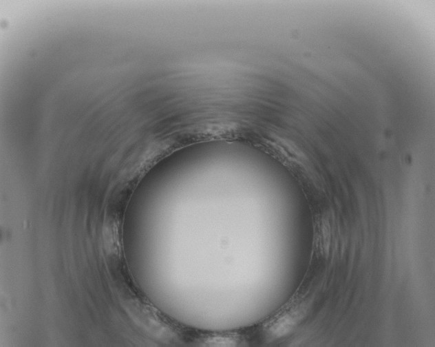 X0000073710236200608101847