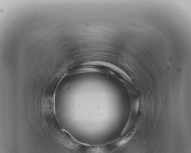 X0000073710237200608101847