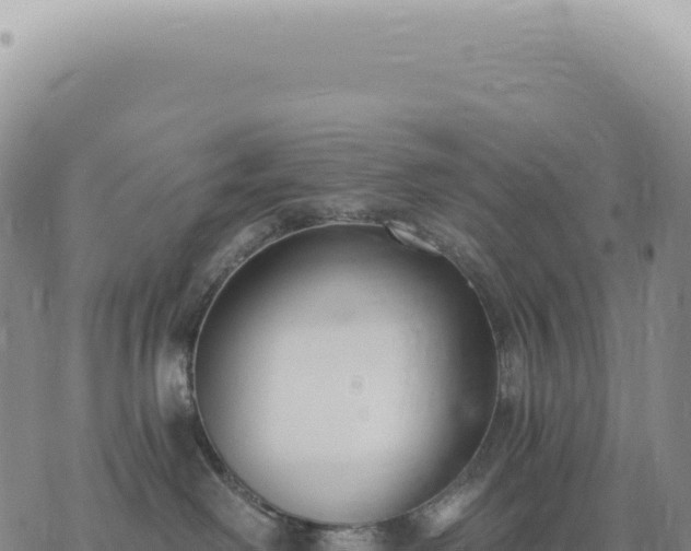 X0000073710238200608101847