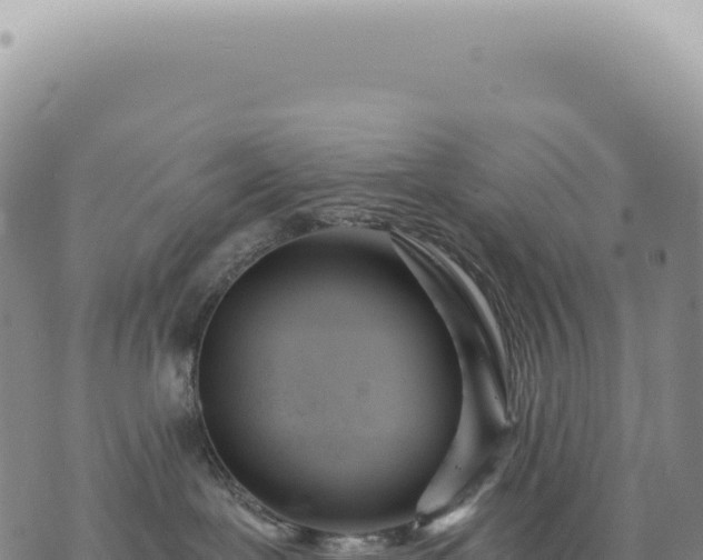 X0000073710239200608101847