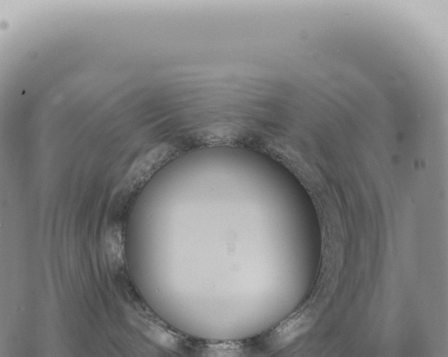 X0000073710240200608101847