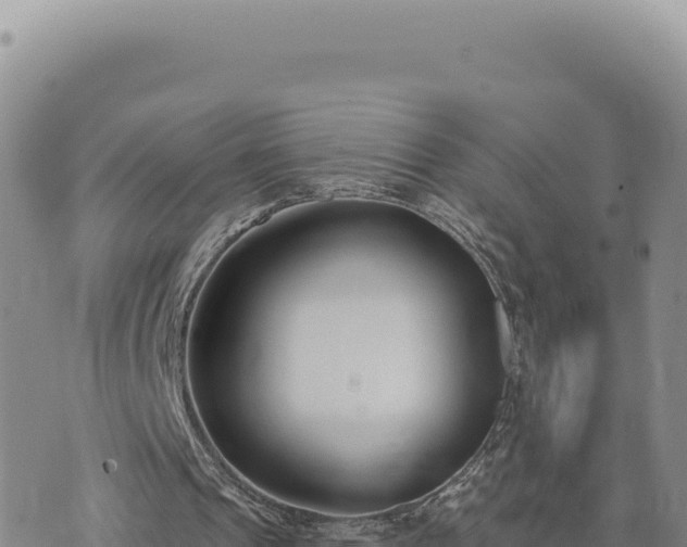 X0000073710241200608101846