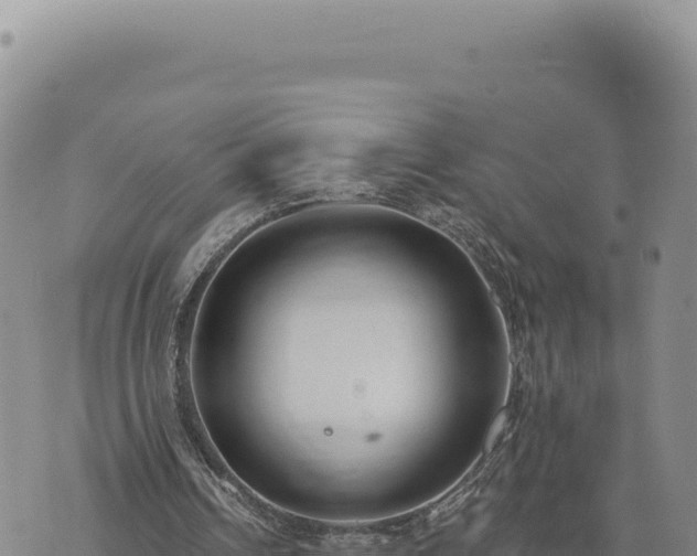 X0000073710242200608101846