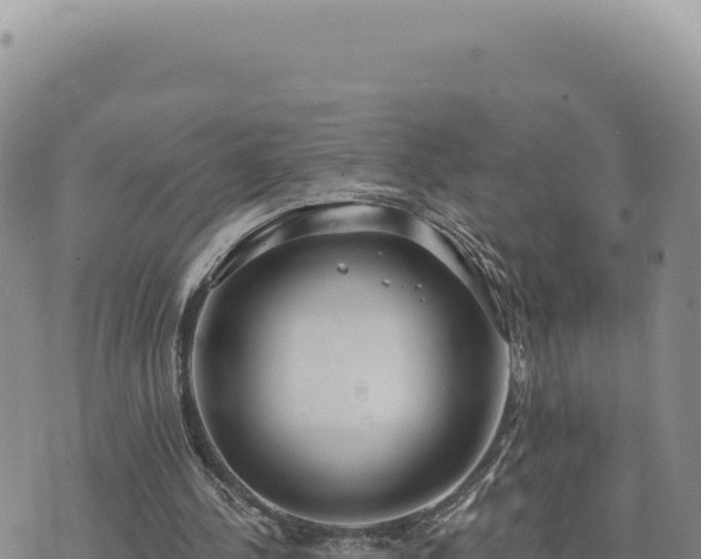 X0000073710244200608101846