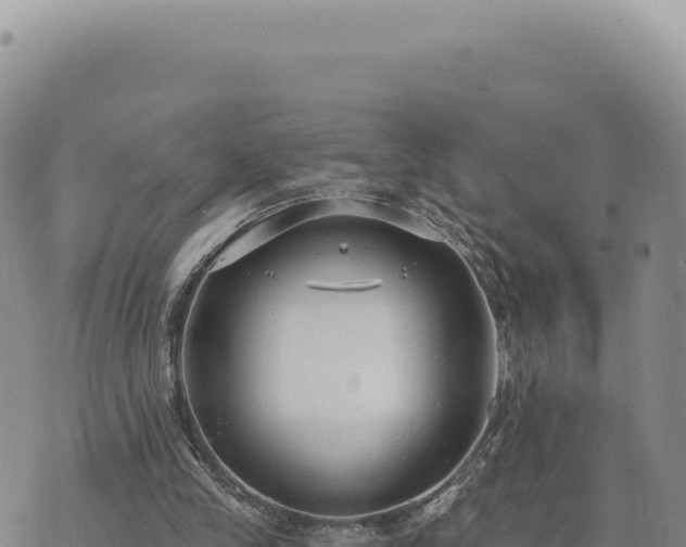 X0000073710245200608101846