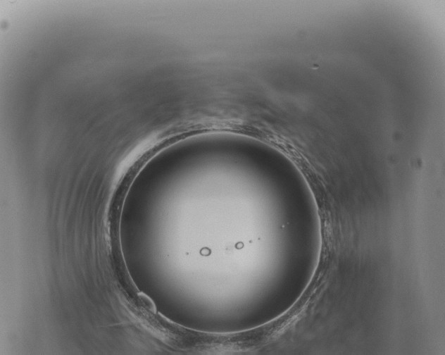 X0000073710246200608101846