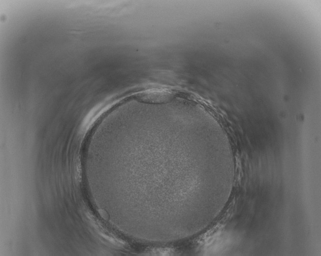 X0000073710247200608101846