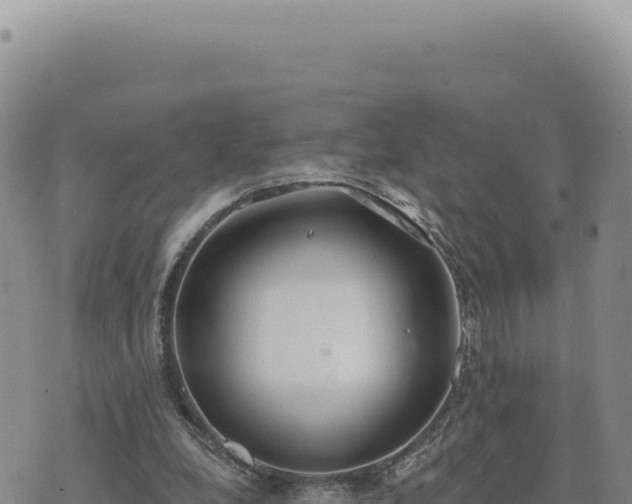 X0000073710248200608101846