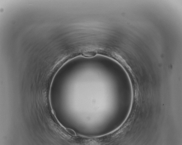 X0000073710249200608101846