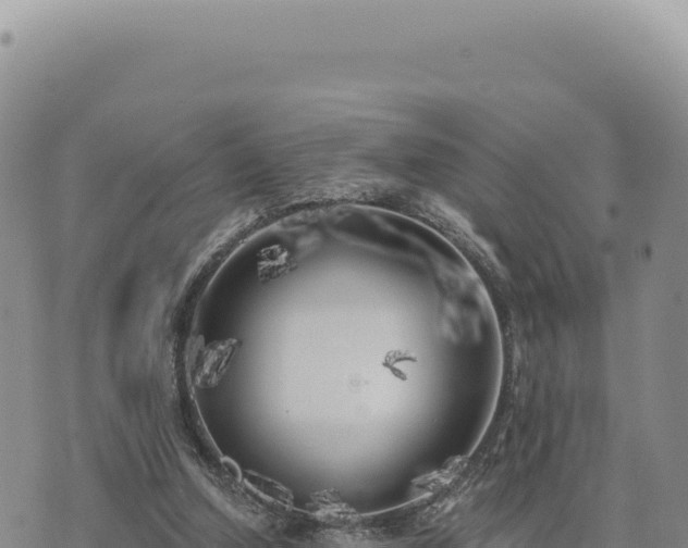 X0000073710250200608101846