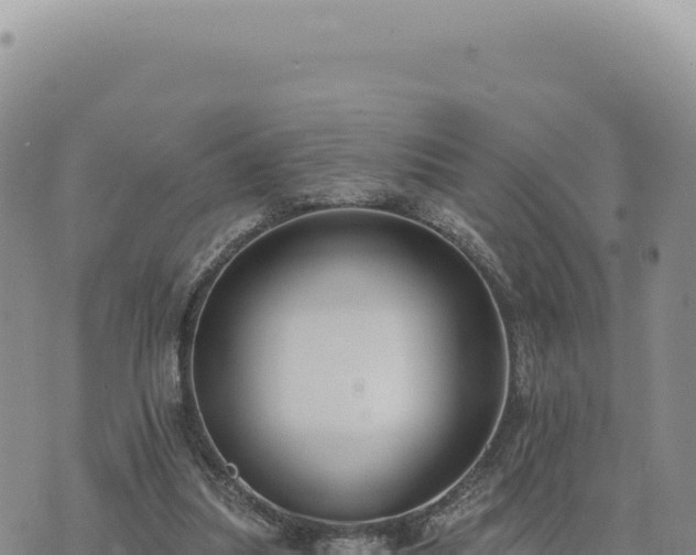 X0000073710251200608101846