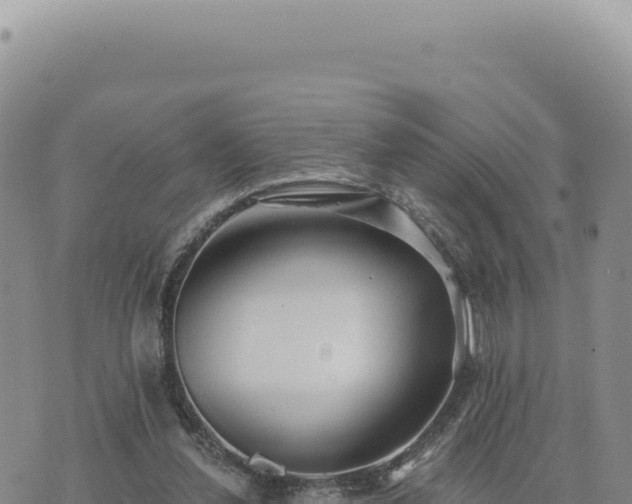 X0000073710252200608101846