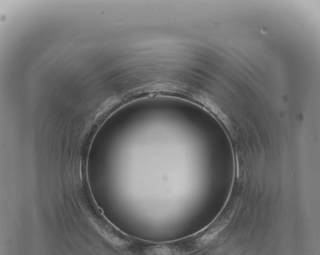 X0000073710253200608101846