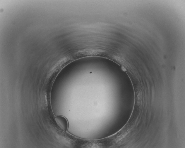 X0000073710254200608101846