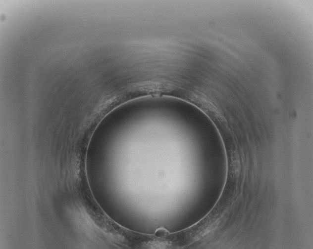 X0000073710255200608101846