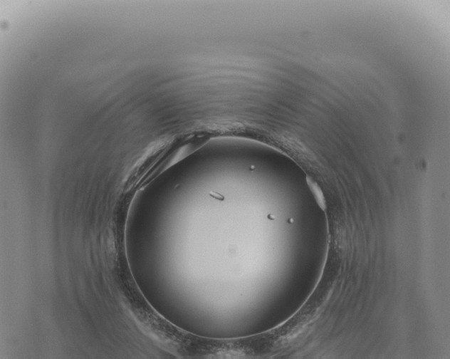 X0000073710256200608101846