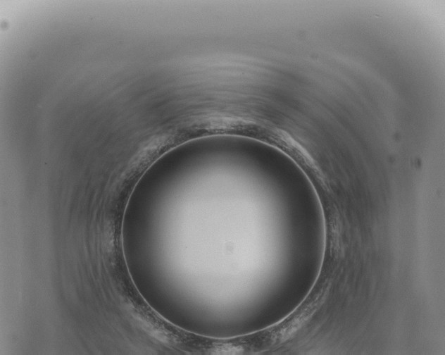 X0000073710257200608101846