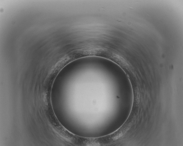 X0000073710258200608101846