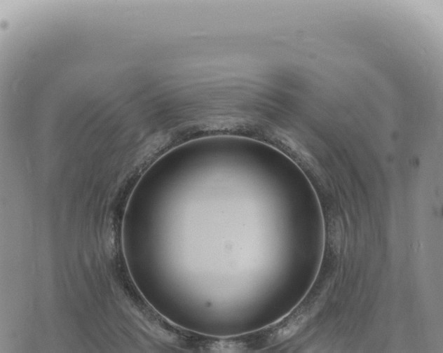 X0000073710261200608101846