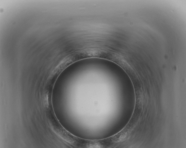 X0000073710262200608101846