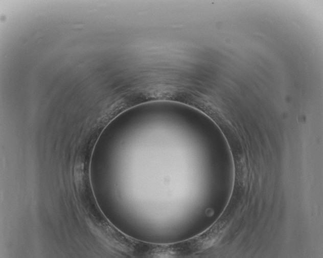 X0000073710263200608101846