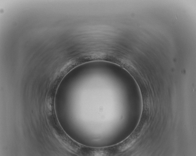 X0000073710264200608101846