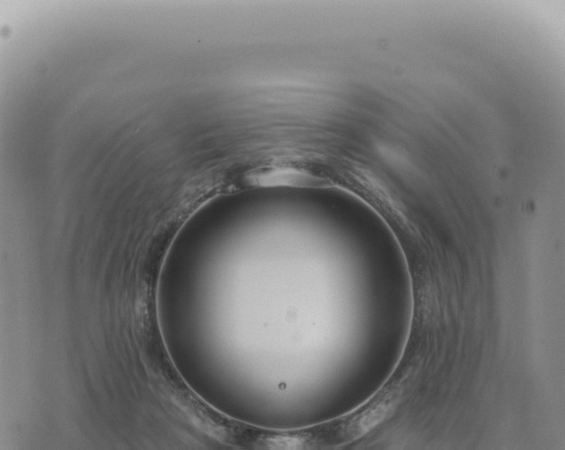 X0000073710265200608101846