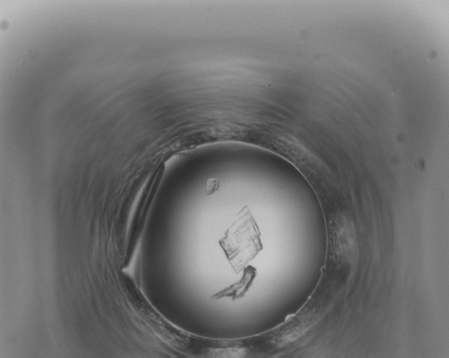 X0000073710266200608101846