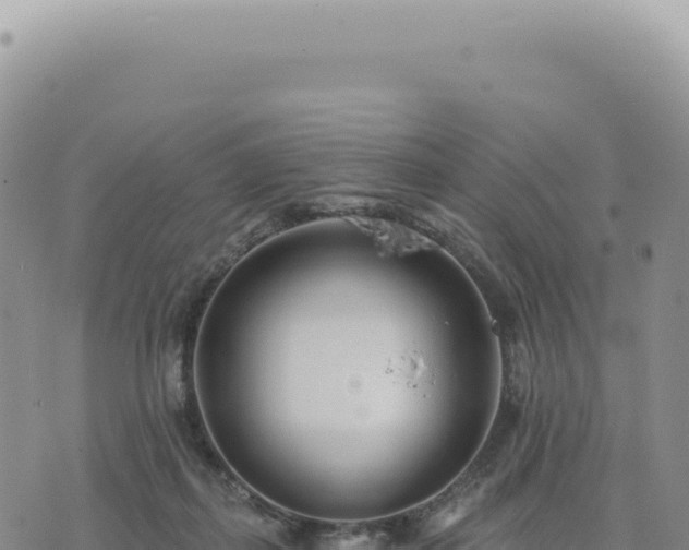 X0000073710267200608101846