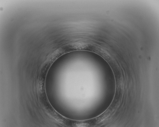 X0000073710268200608101846