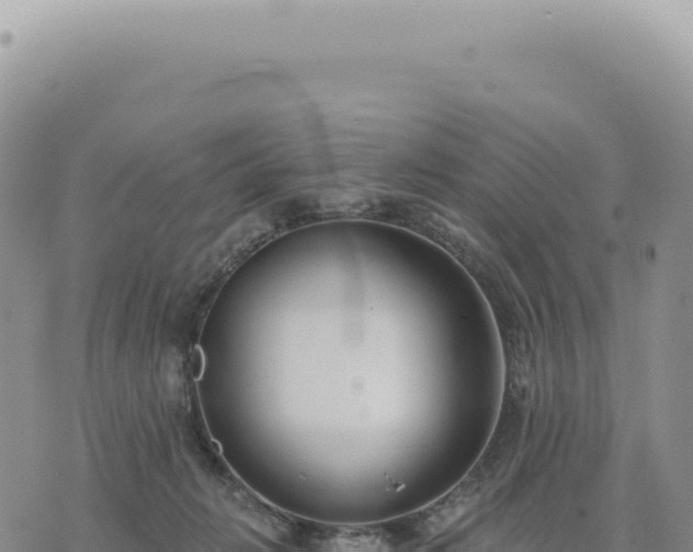 X0000073710270200608101846