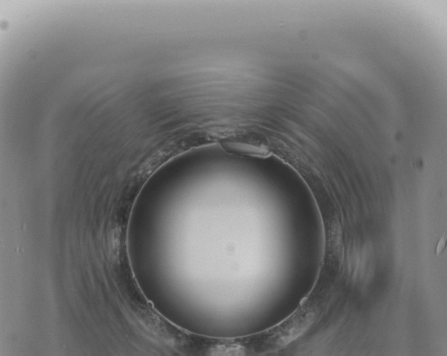 X0000073710271200608101846