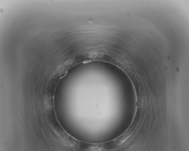 X0000073710272200608101846