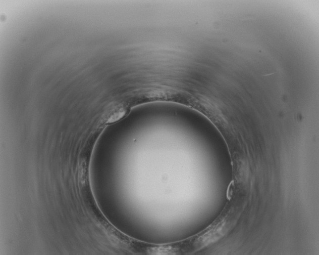 X0000073710273200608101846