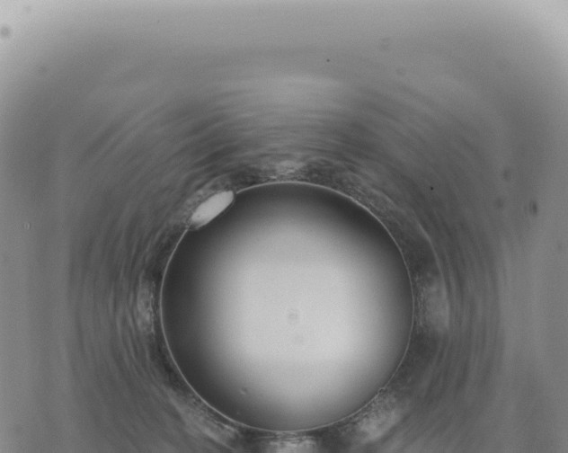 X0000073710274200608101846