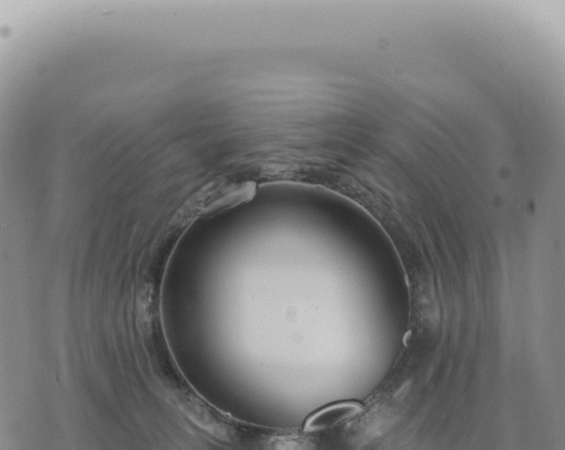 X0000073710275200608101846