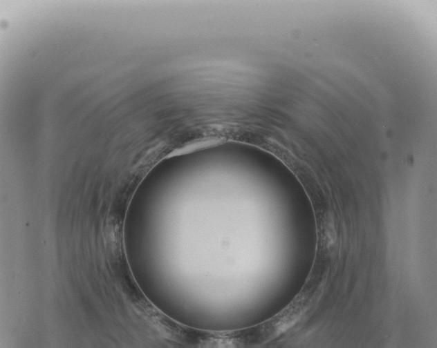 X0000073710276200608101846