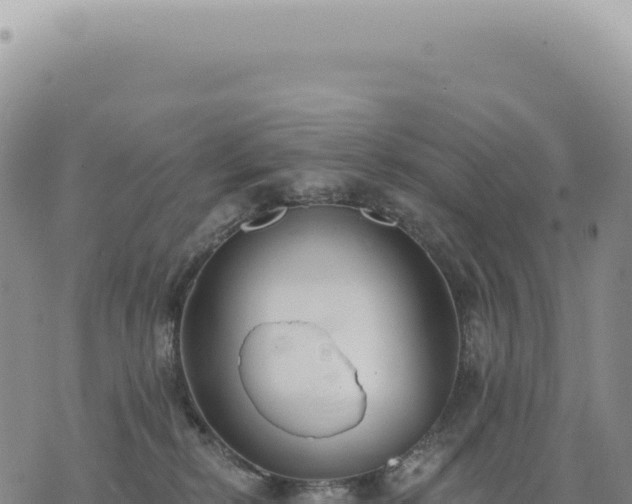 X0000073710278200608101846