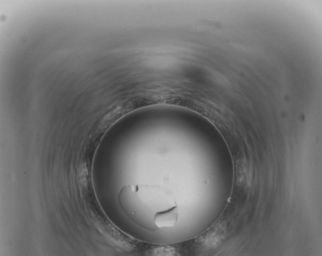 X0000073710279200608101846